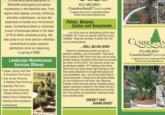 Tri-fold Brochure