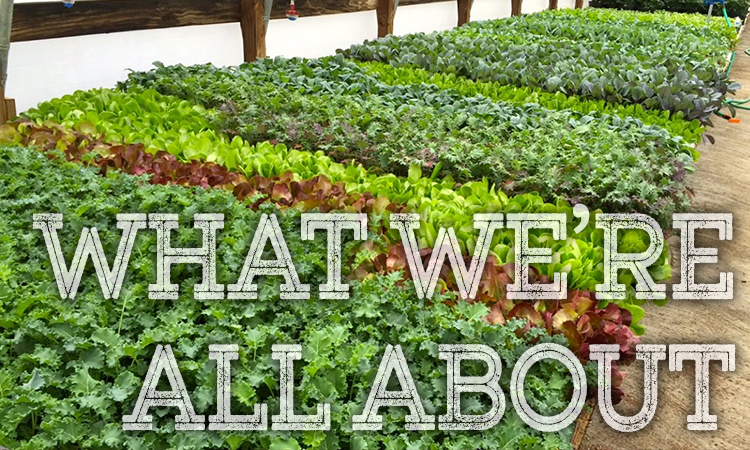 About Us
