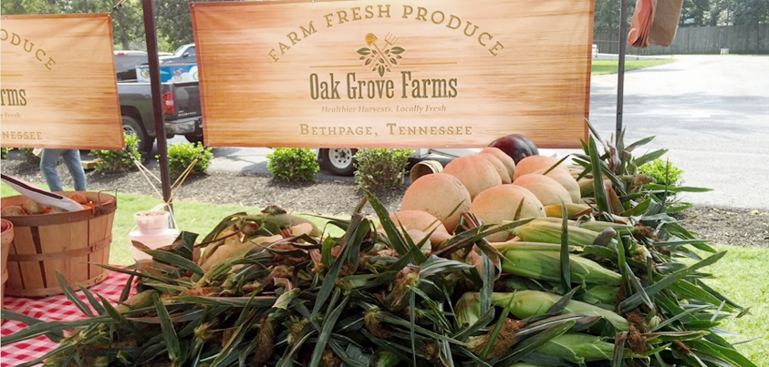 Oak Grove Tent