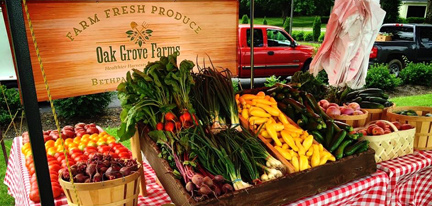 Oak Grove Tent